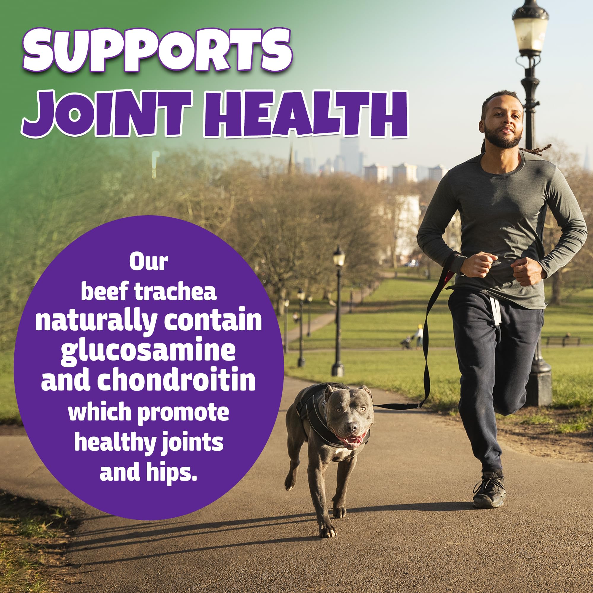 Lively Tails beef trachea for dogs as they chew with a pleasant crunch.
