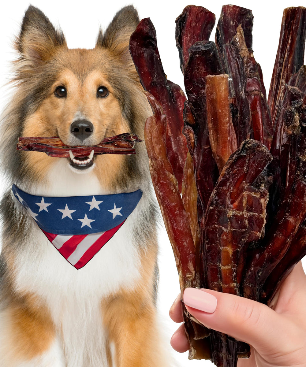 Lively Tails bully sticks 6-inch for small dogs highlighting USA-made quality and chew satisfaction.