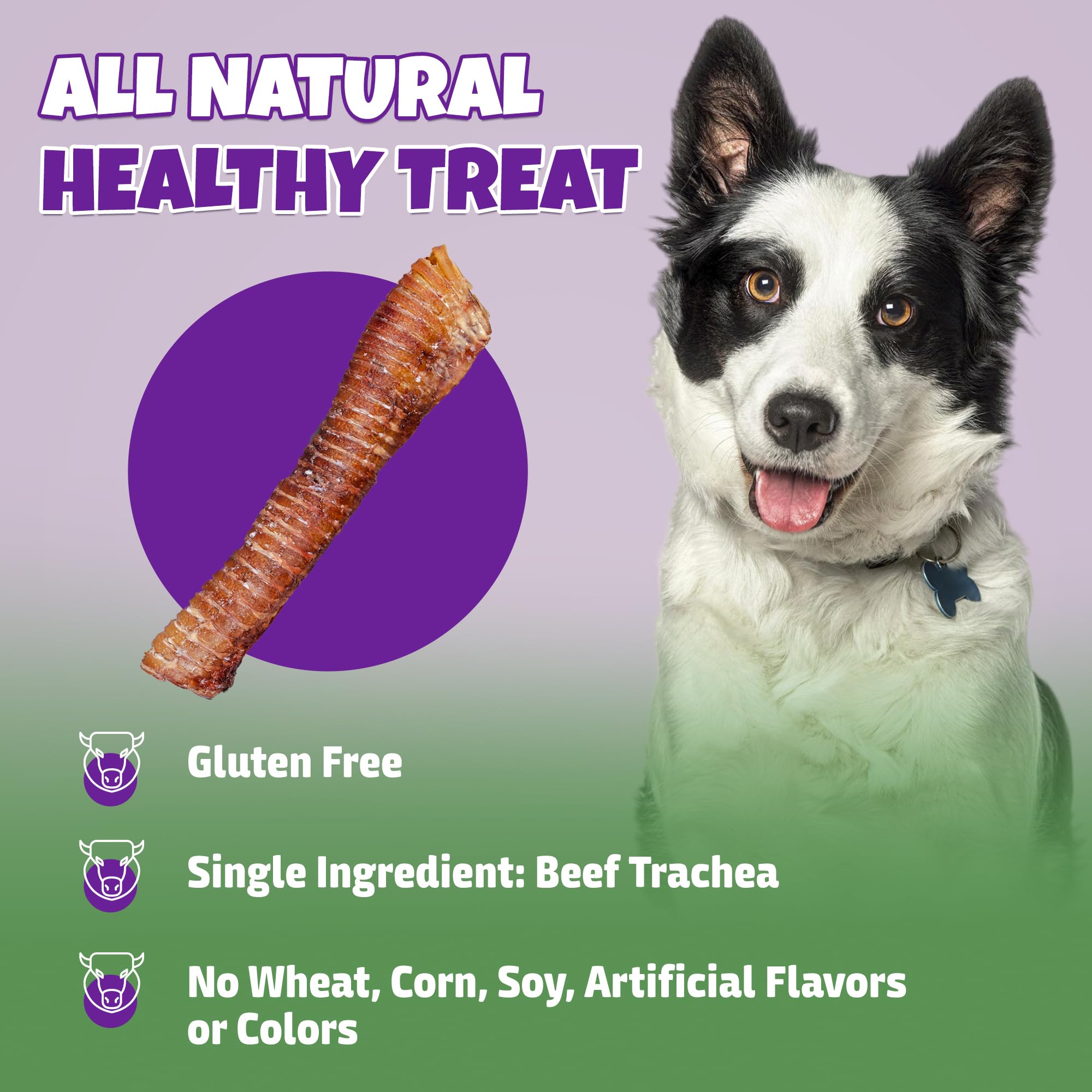 Lively Tails chews highlight crunchy texture aiding dental care during chewing.