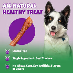 Lively Tails chews highlight crunchy texture aiding dental care during chewing.