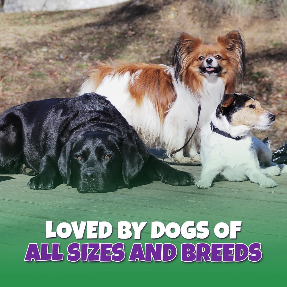Lively Tails dental health turkey tendon chews help scrape plaque during chewing.