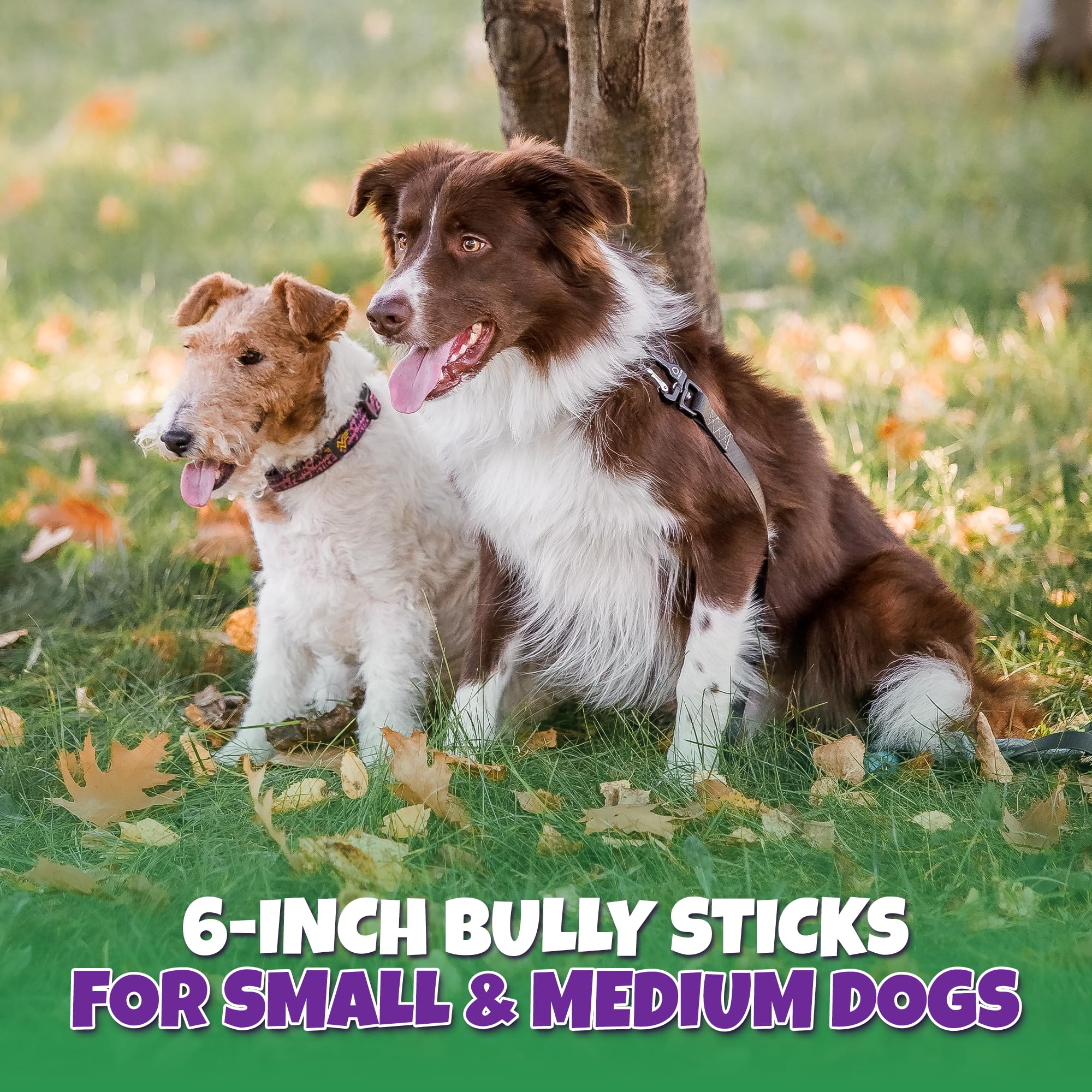 Lively Tails digestible-chews emphasize safe, protein-rich bite that keeps dogs engaged.