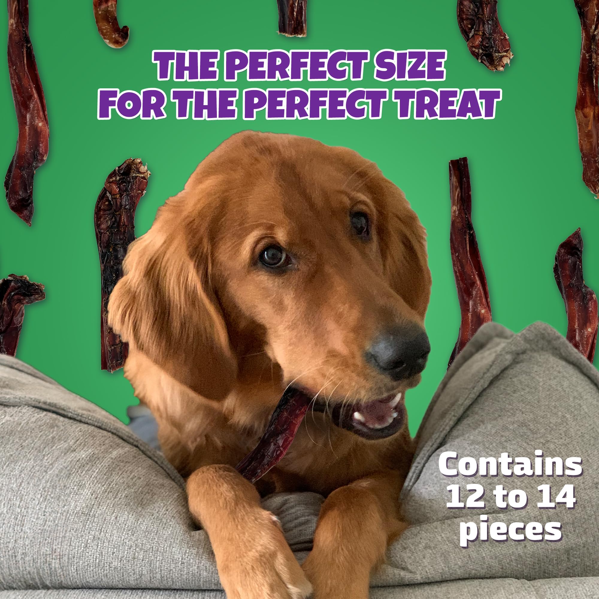 Lively Tails high-protein bully sticks highlight digestible, rawhide-free alternative for dogs.