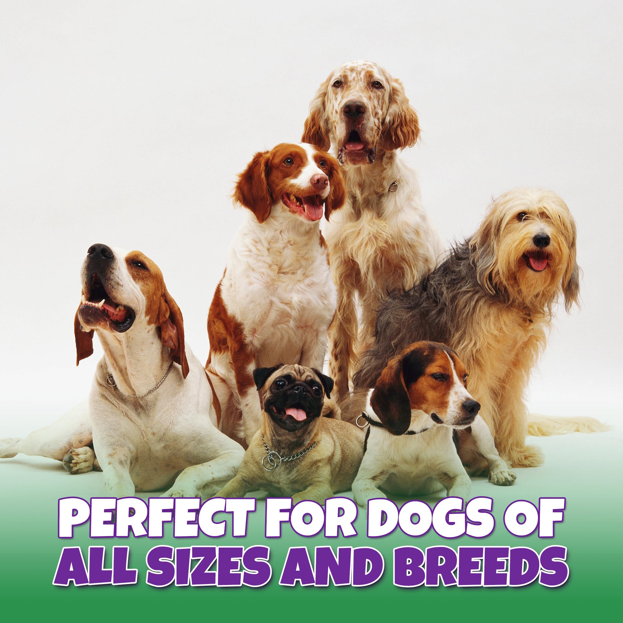 Lively Tails large trachea chews designed for bigger dogs and long chews.
