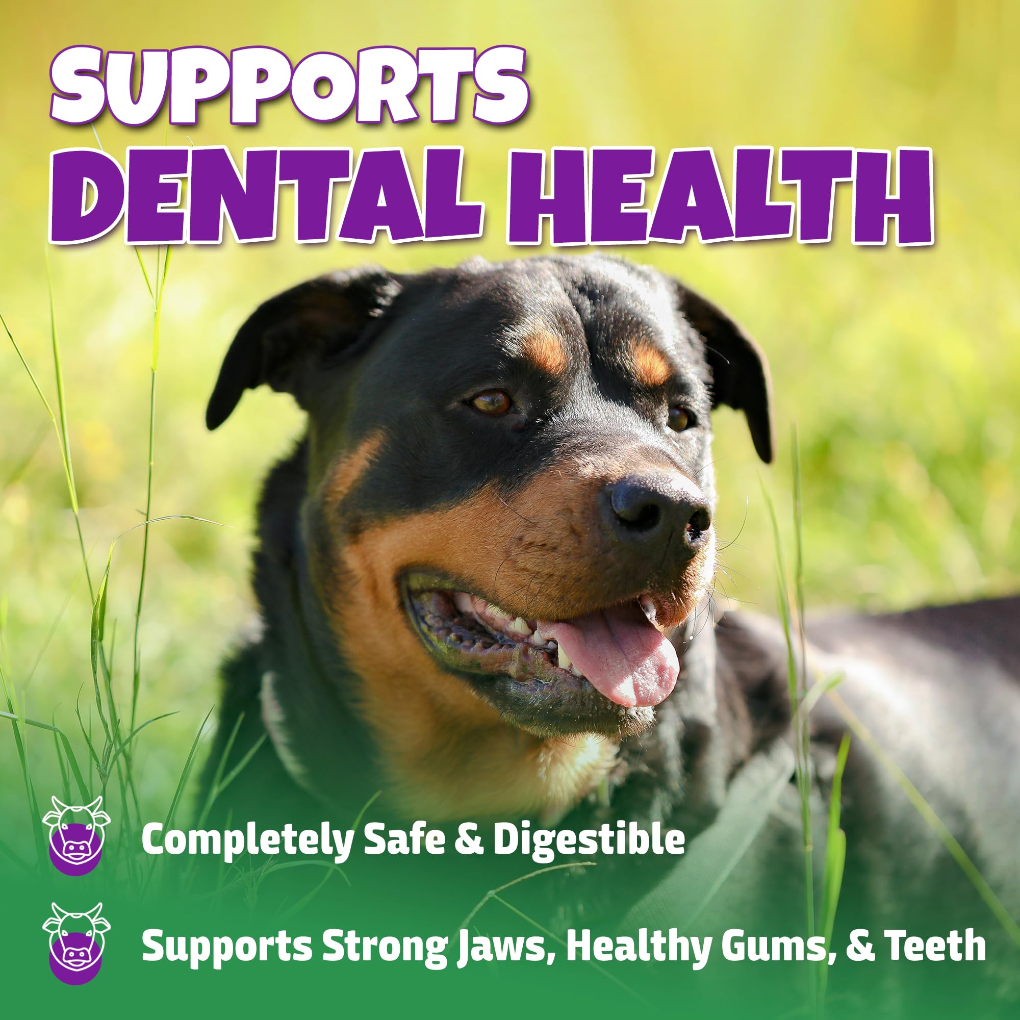 Lively Tails bone with visible marrow supports chewing pleasure.