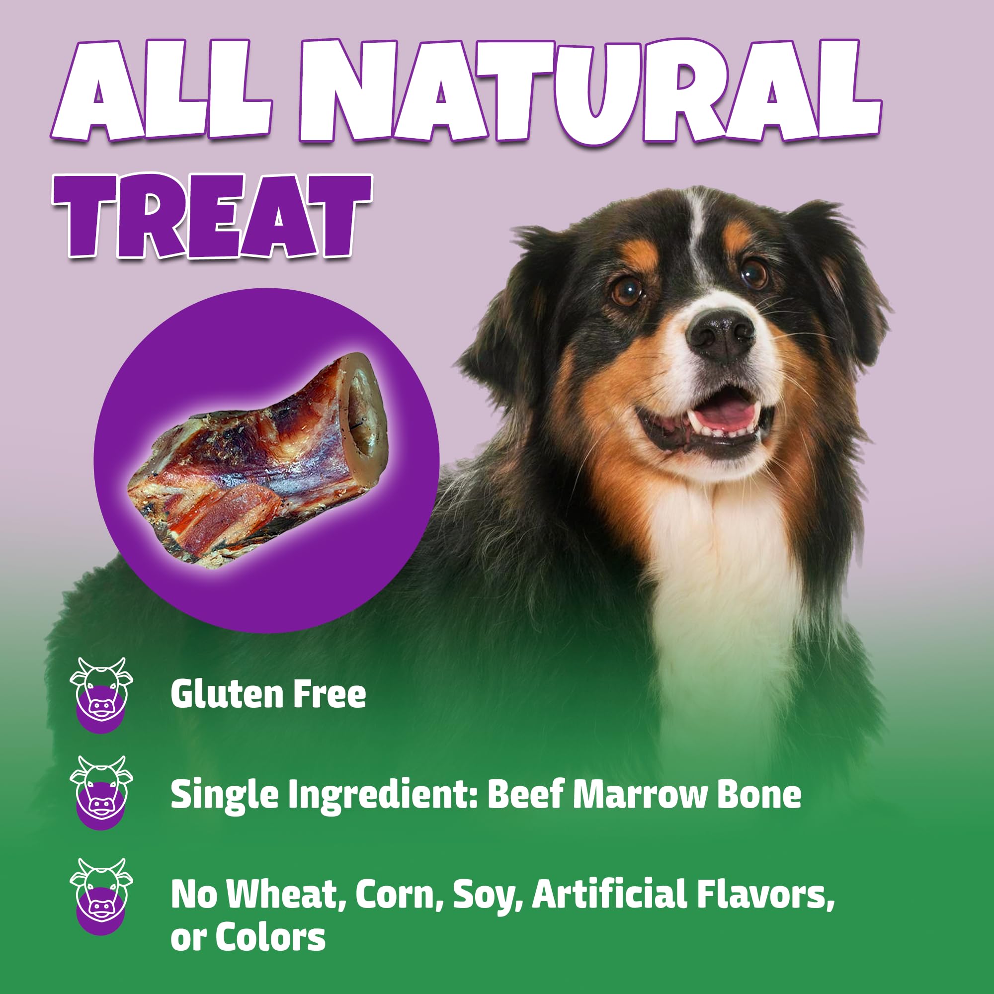 Lively Tails marrow bone exterior view, natural, protein-rich chew.