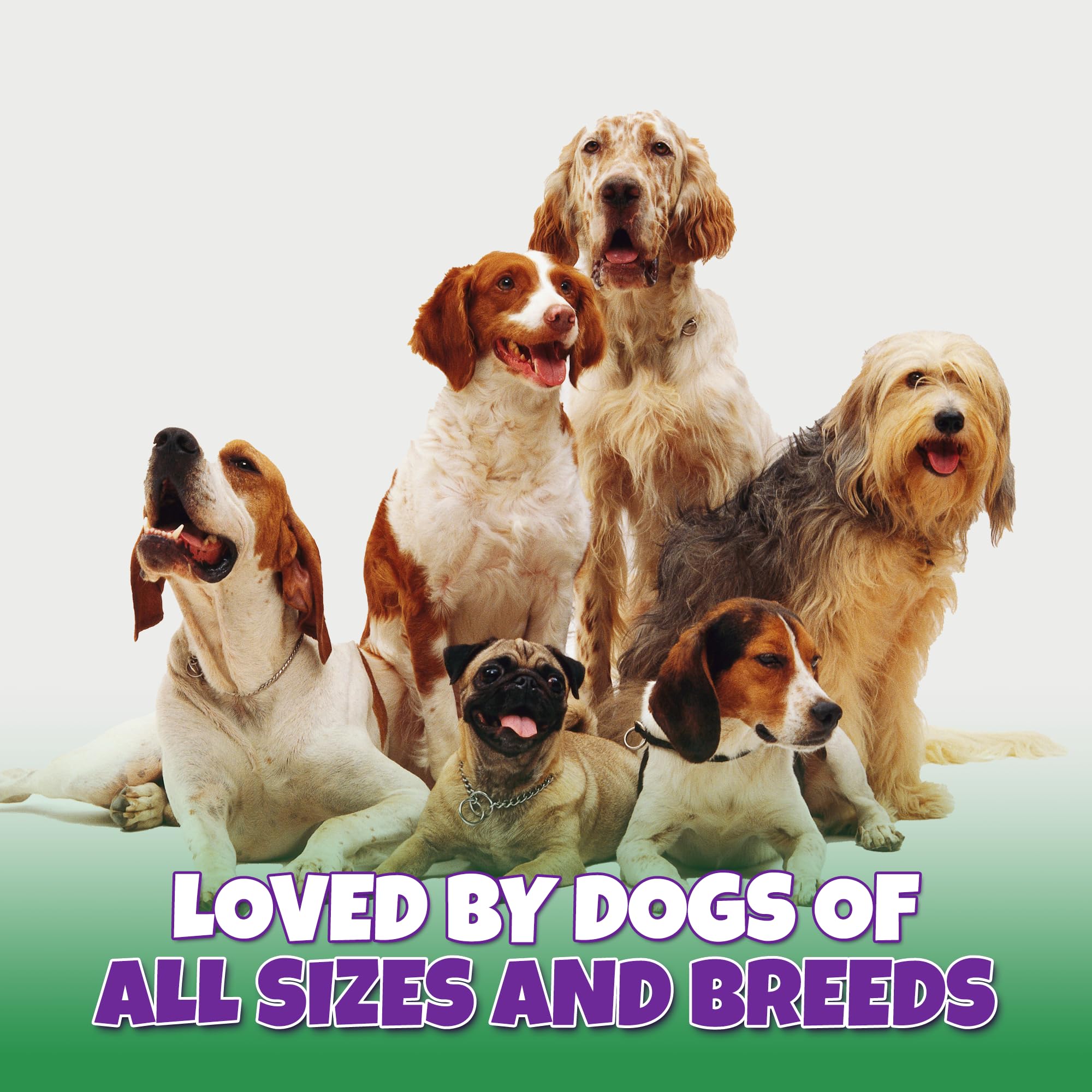All-natural beef bone from Lively Tails, free of additives.