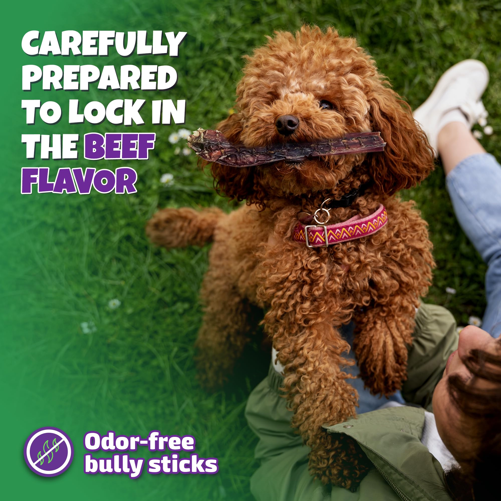 Lively Tails odor-free bully sticks image shows pleasant aroma-free experience for pets.