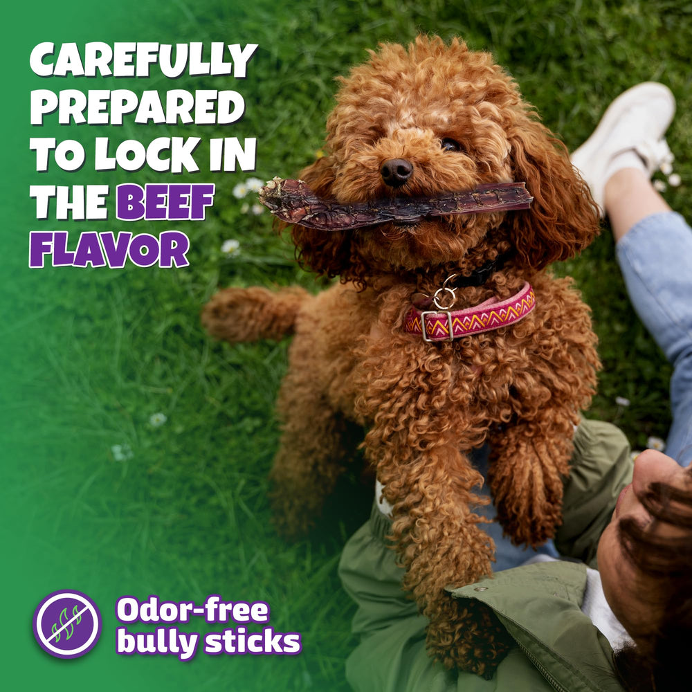 Lively Tails odor-free bully sticks image shows pleasant aroma-free experience for pets.