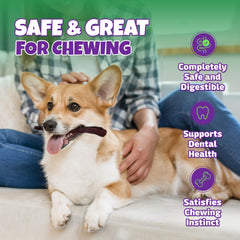 Lively Tails small-dog chew sticks 6inch demonstrate size-appropriate entertainment and dental-cleaning potential.