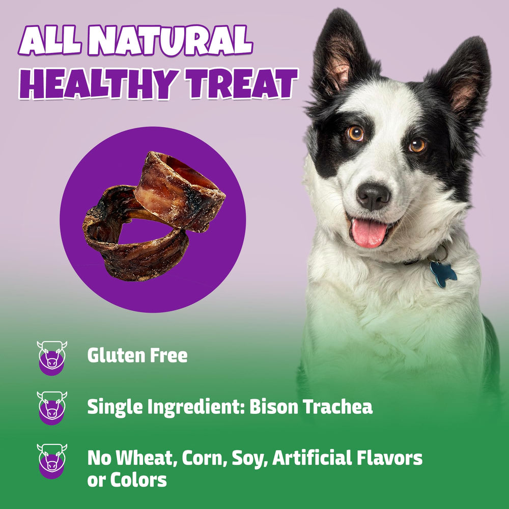 Lively Tails Trachea Dog Chews close-up texture, natural bison chew.