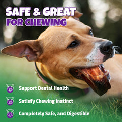 Lively Tails Trachea Dog Chews ingredients overview, 100% natural bison.