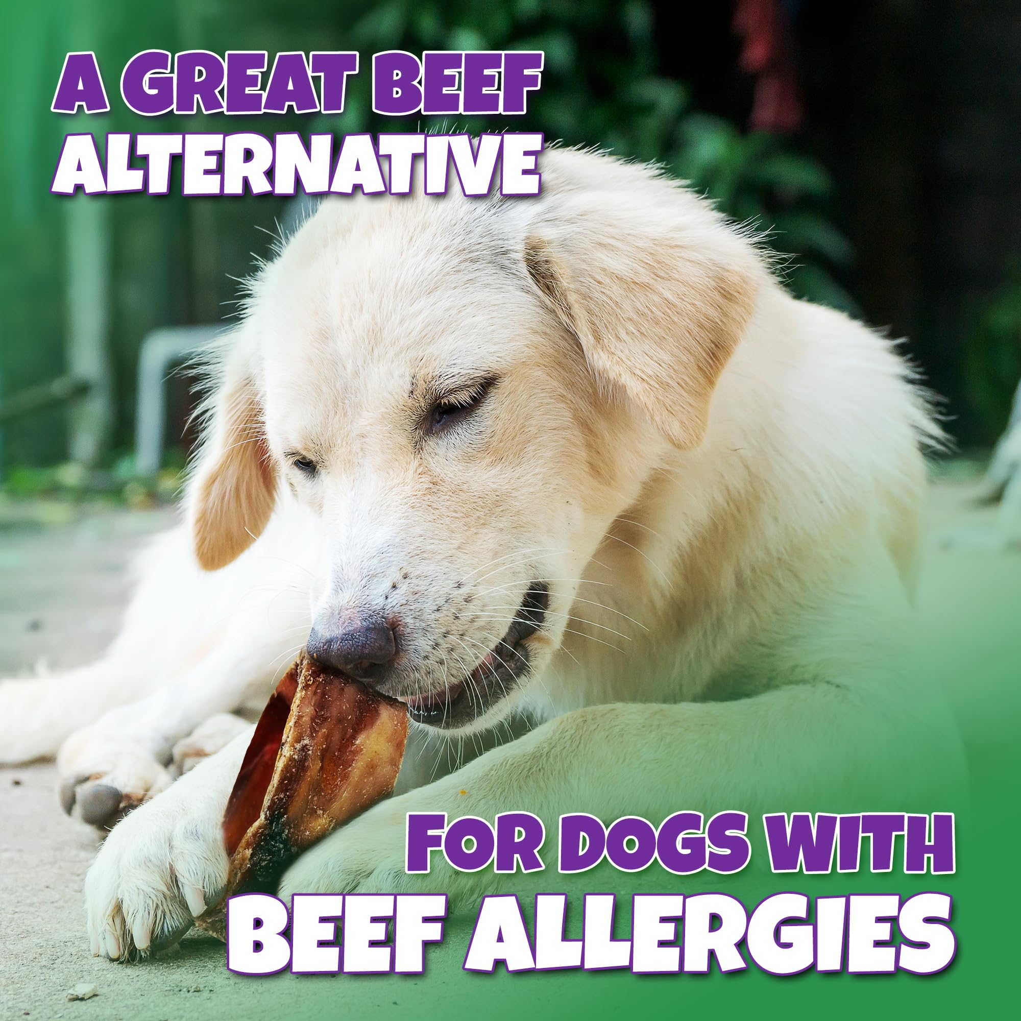 Lively Tails Trachea Dog Chews USA-made badge on packaging.