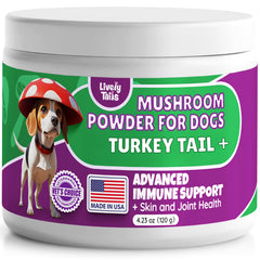 Lively Tails turkey tail powder on a dog meal boosts immune support.