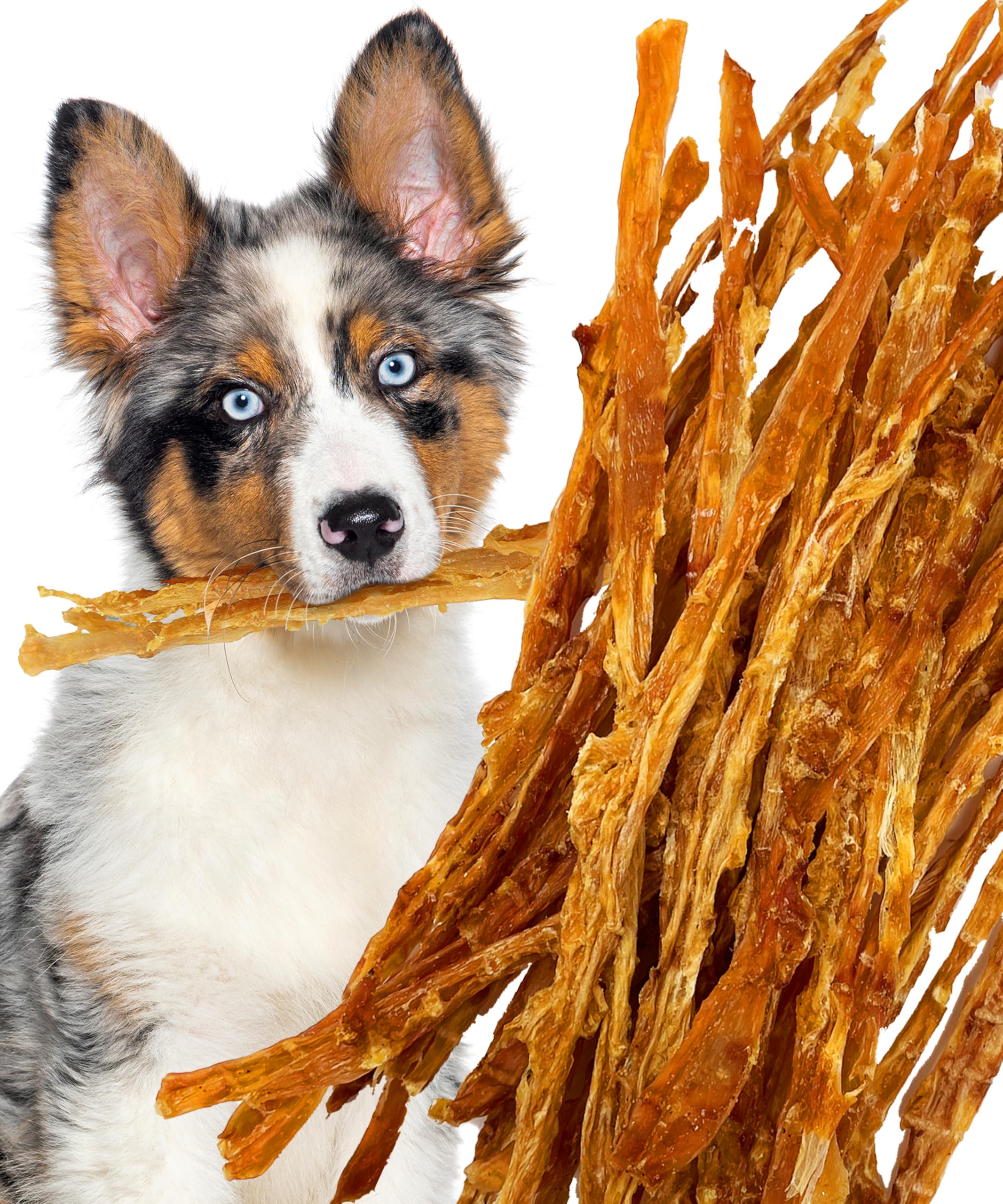 Lively Tails turkey tendons for dogs in USA-made packaging, a natural chew for tasty engagement.