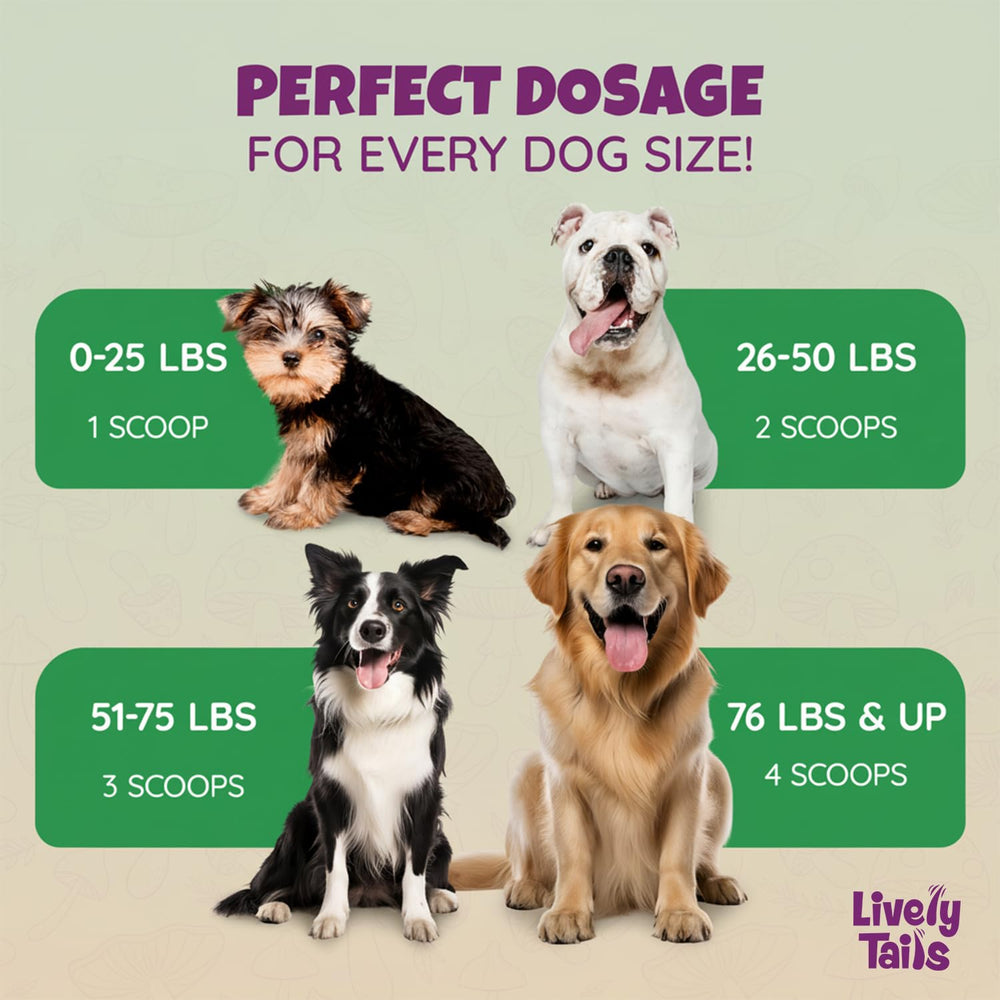 Lively Tails veterinarian-trusted dog supplement for daily wellness.