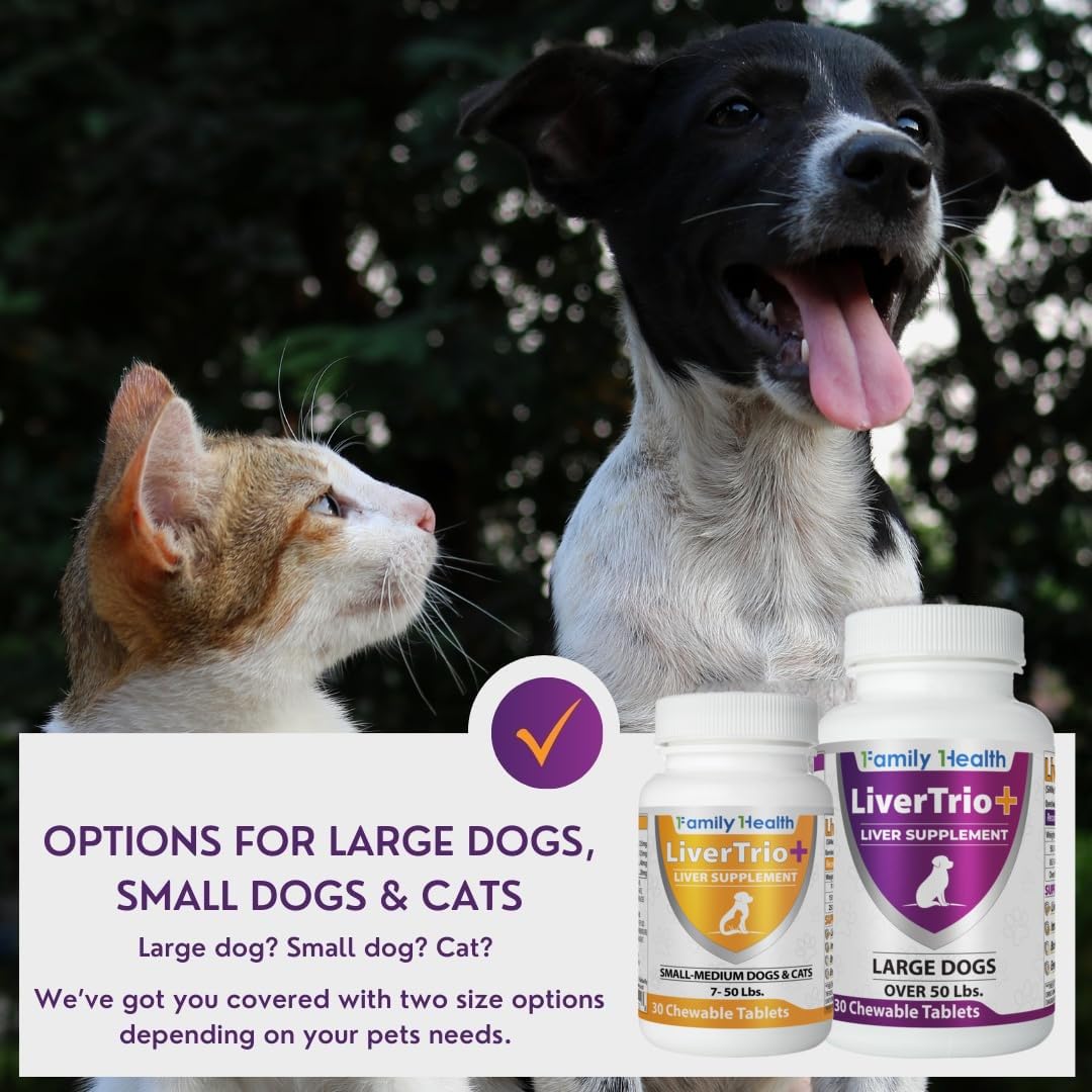LiverTrio+ chew closeup showcasing flavorful, safe treat.