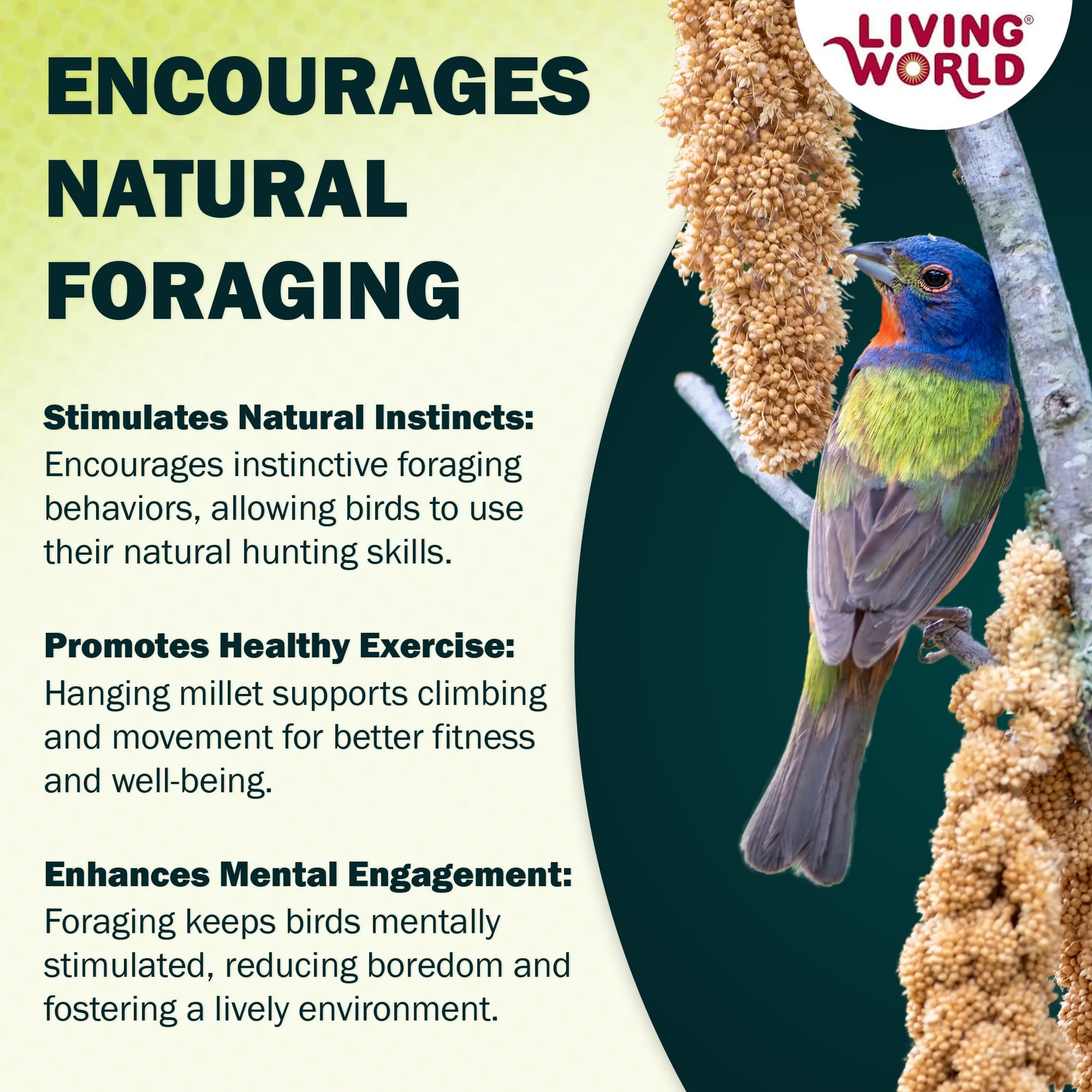5-pound Living World Spray Millet quantity for long-term use