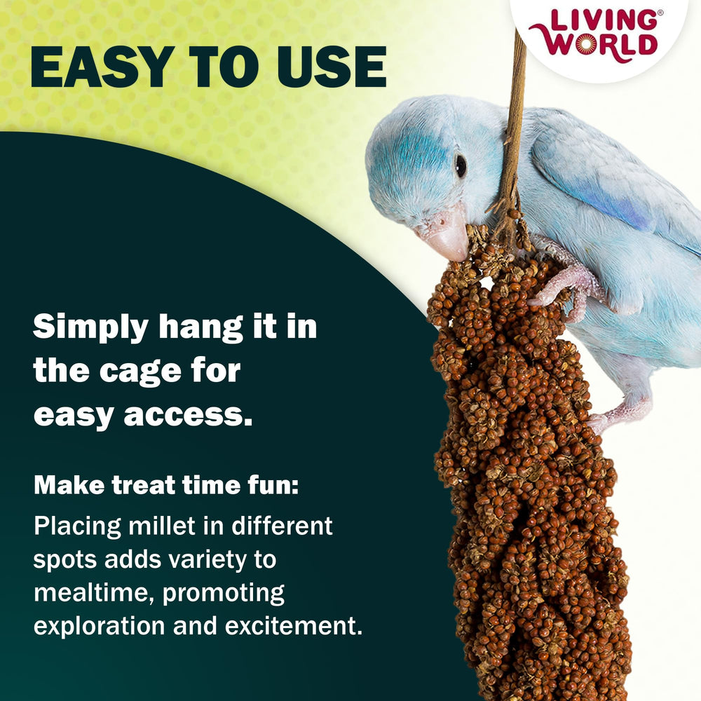 Finches and canaries enjoying Living World Spray Millet