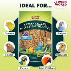 Parakeet feeding on Living World Spray Millet for enrichment
