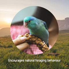 Living World Spray Millet supports growing nestlings with a nutritious, energy-dense snack.