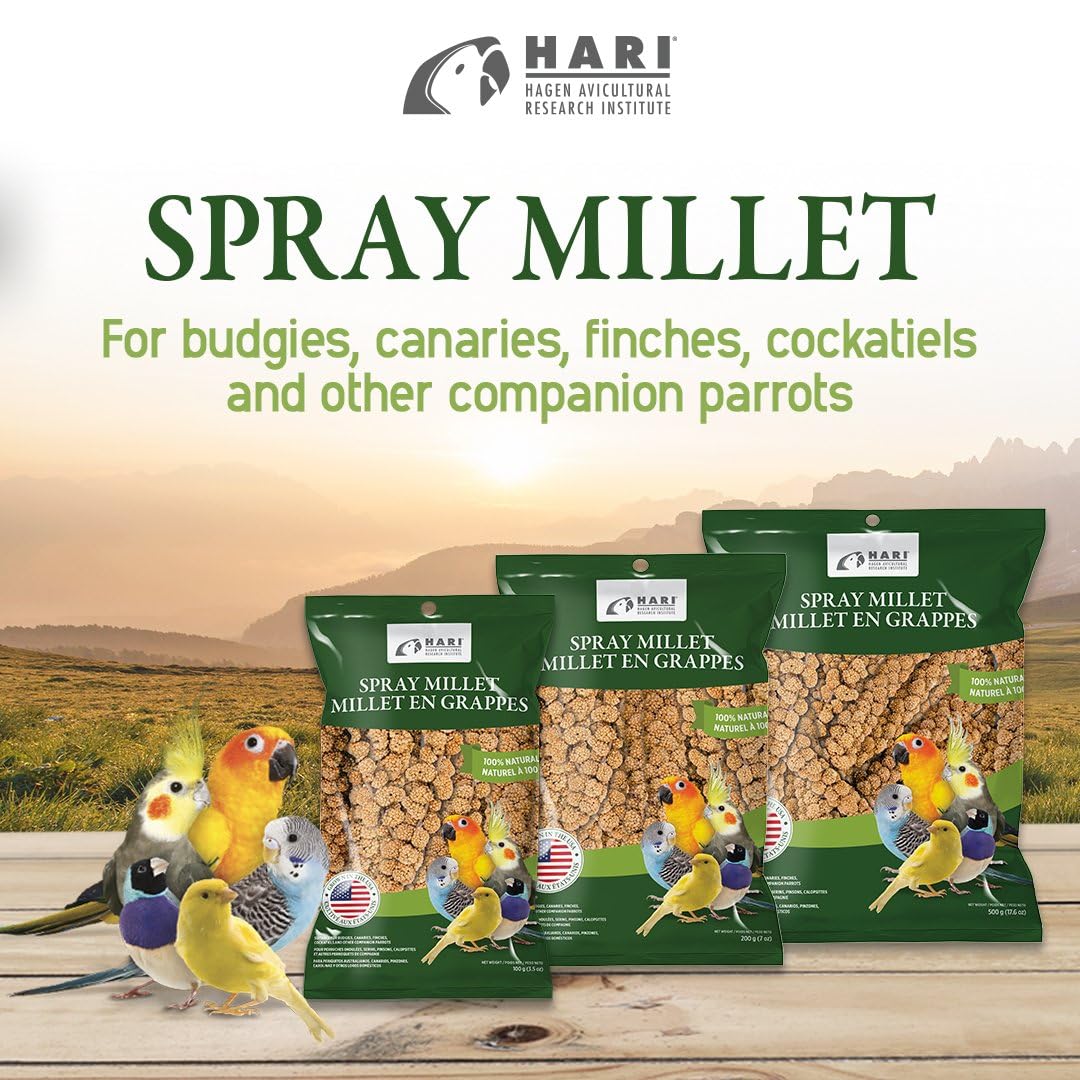 Living World Spray Millet supports energy for nestlings during growth and molting.