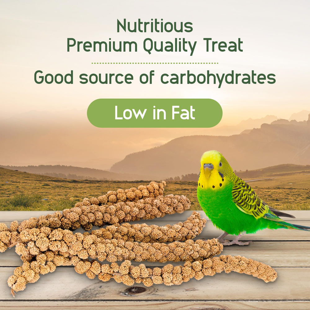 Living World Spray Millet provides a tasty small-bird snack for budgies, canaries, and finches.