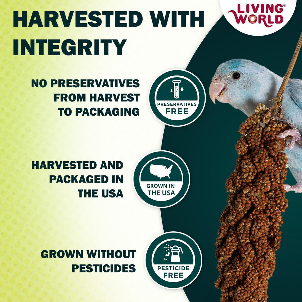 Vacuum-packed Living World Spray Millet bag preserves freshness