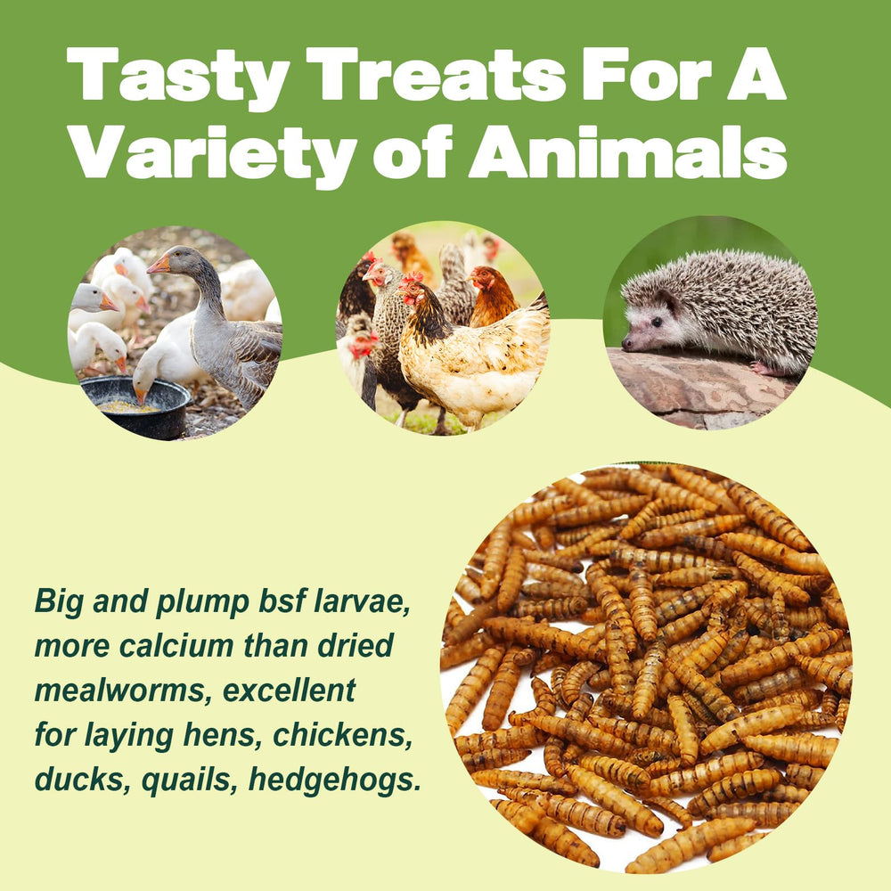 LIWII bulk 160oz dried BSF larvae; value pack for versatile poultry meals