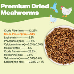 LIWII plump mealworms perfect for bearded dragons and other reptiles.