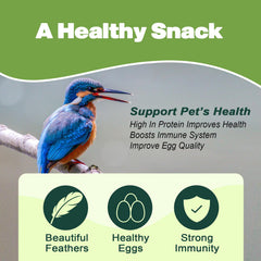 LIWII Dried Mealworms in a bird feeder, quick energy for birds.