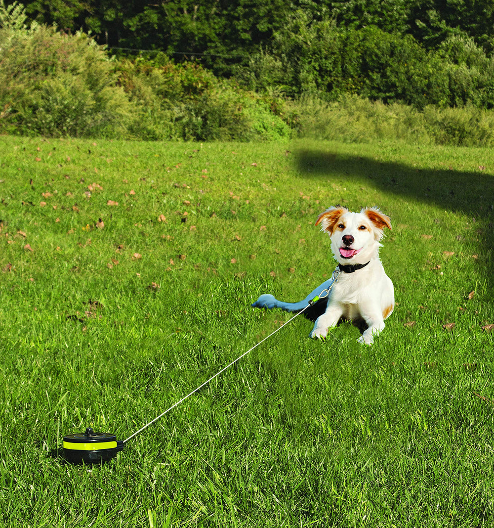 Lixit small dogs 15-30 pounds design suits compact pets outdoors.