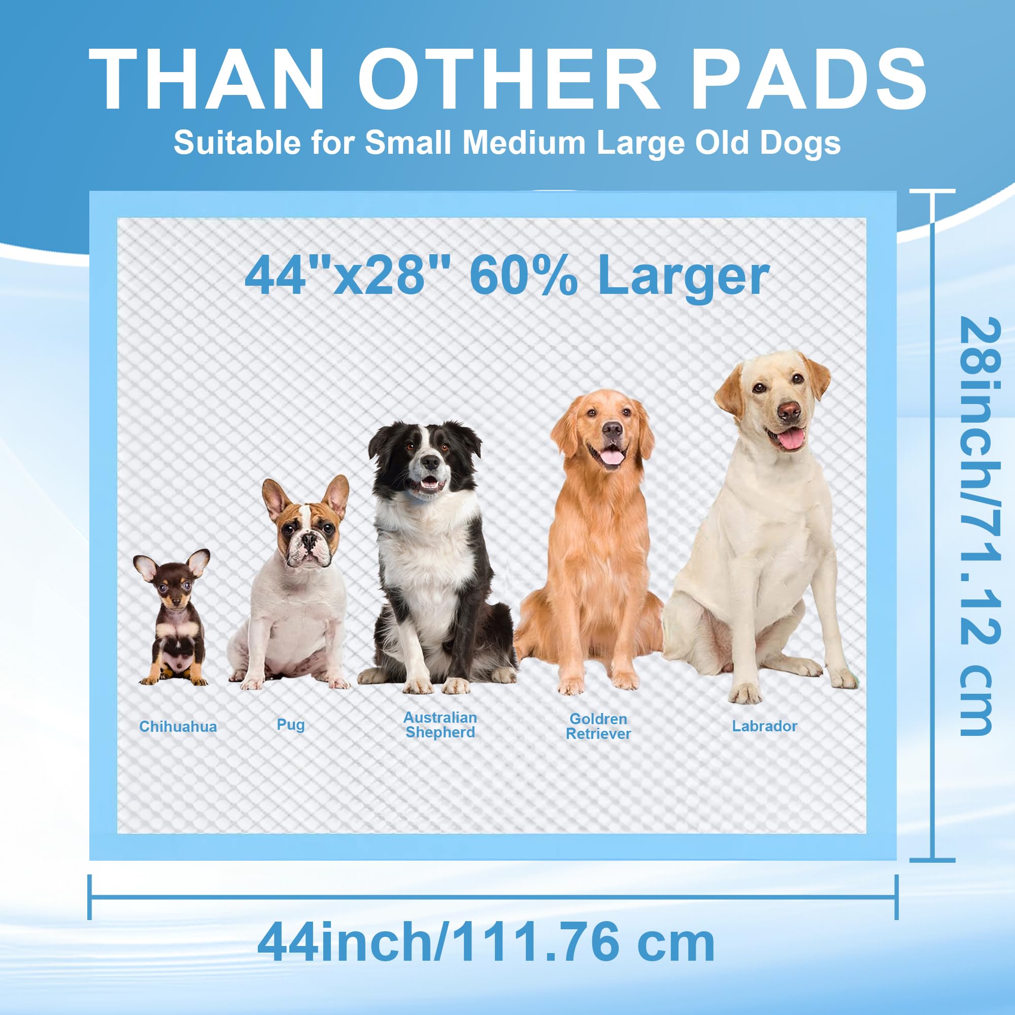 LIYINGSER versatile use for training aging pets and travel