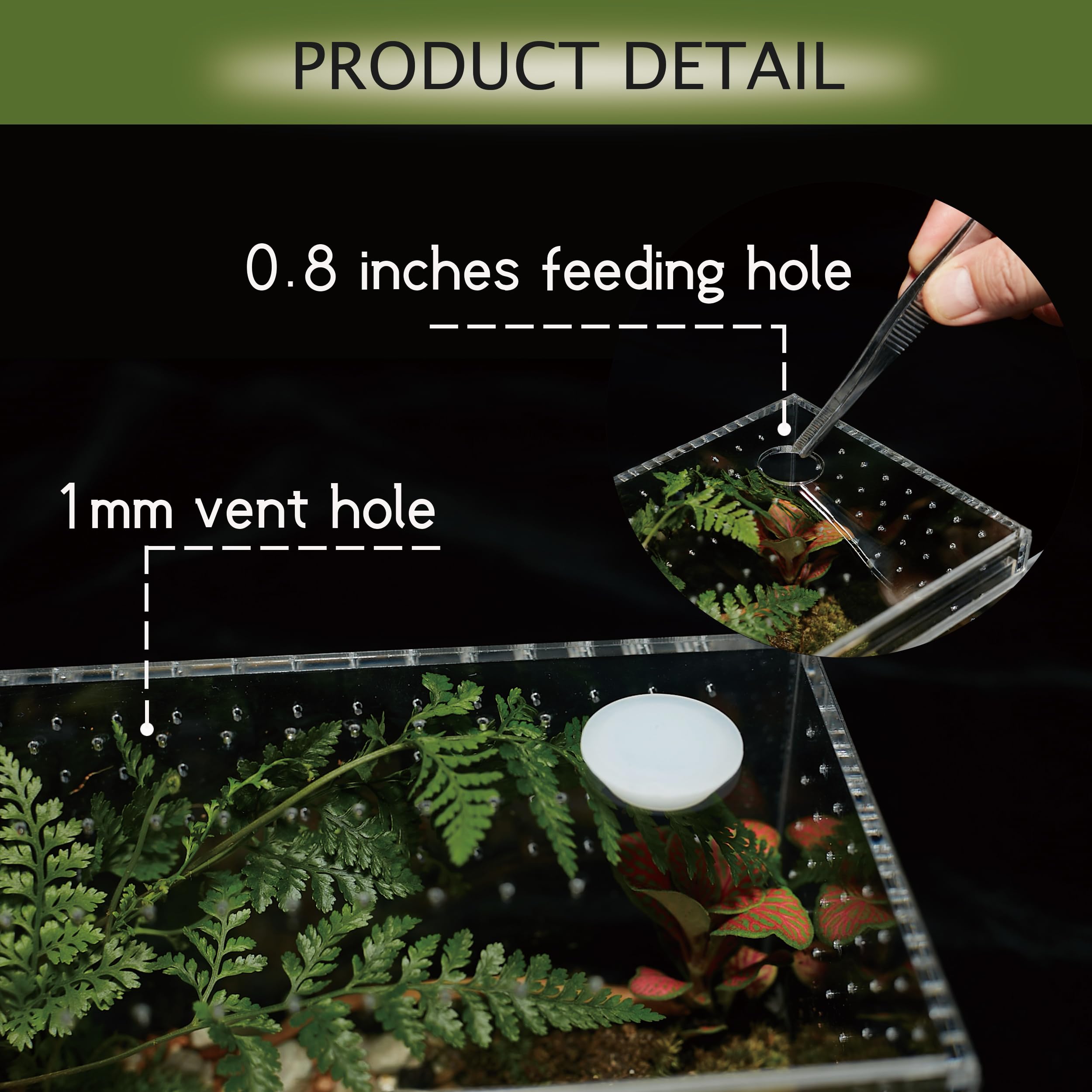 Liz Qnnaly terrarium feeding port enables safe feeding sessions.