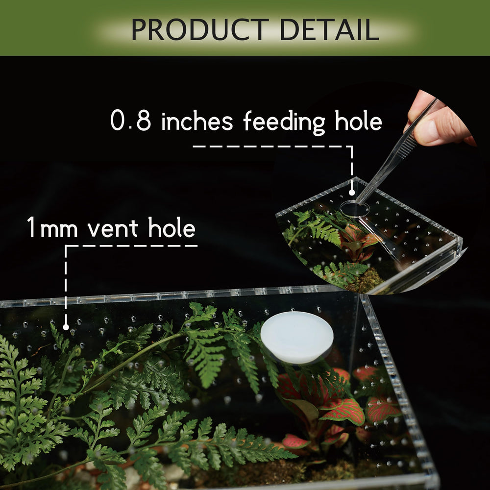 Liz Qnnaly terrarium feeding port enables safe feeding sessions.