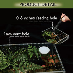 Liz Qnnaly terrarium feeding port enables safe feeding sessions.