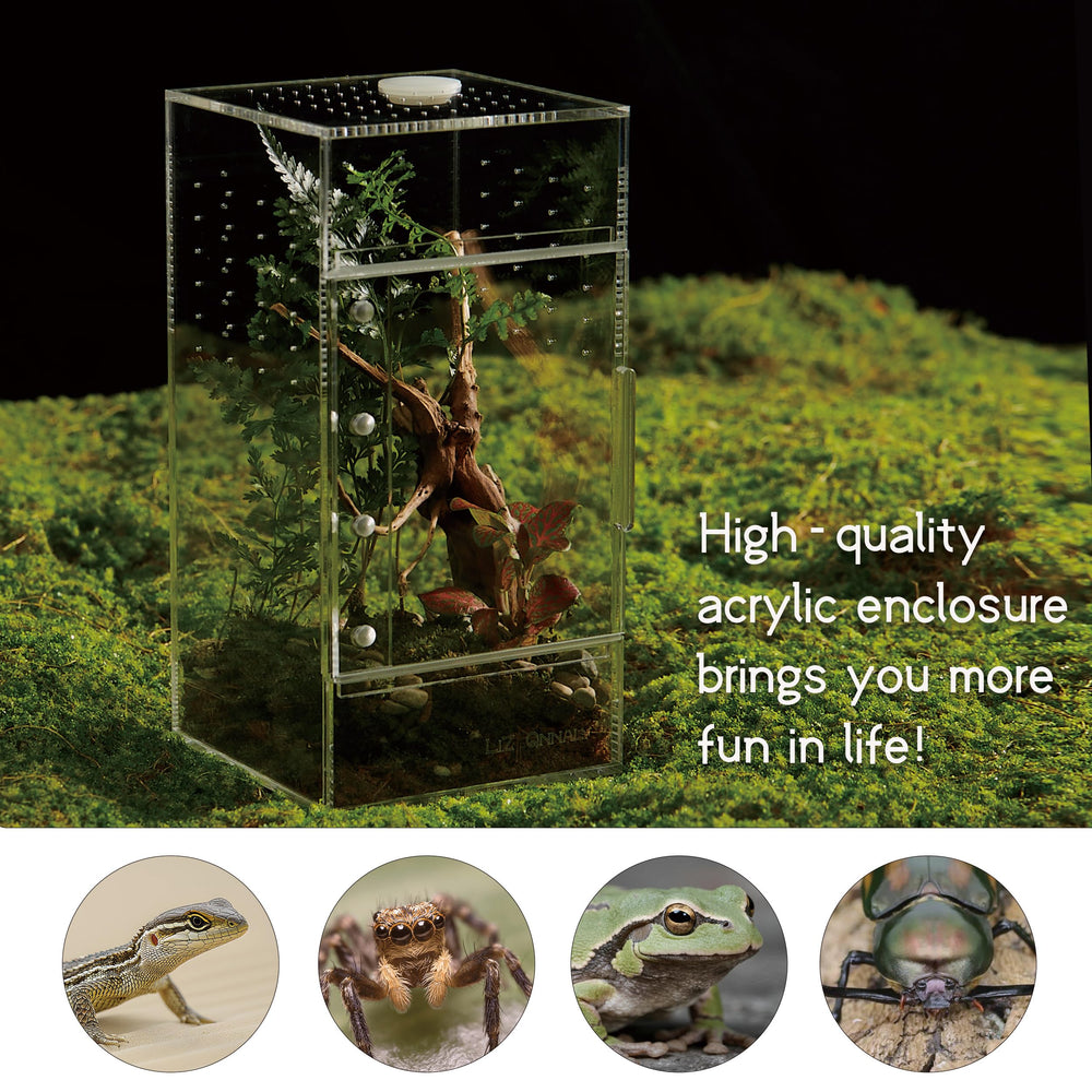 Stainless steel tweezers included with Liz Qnnaly terrarium.