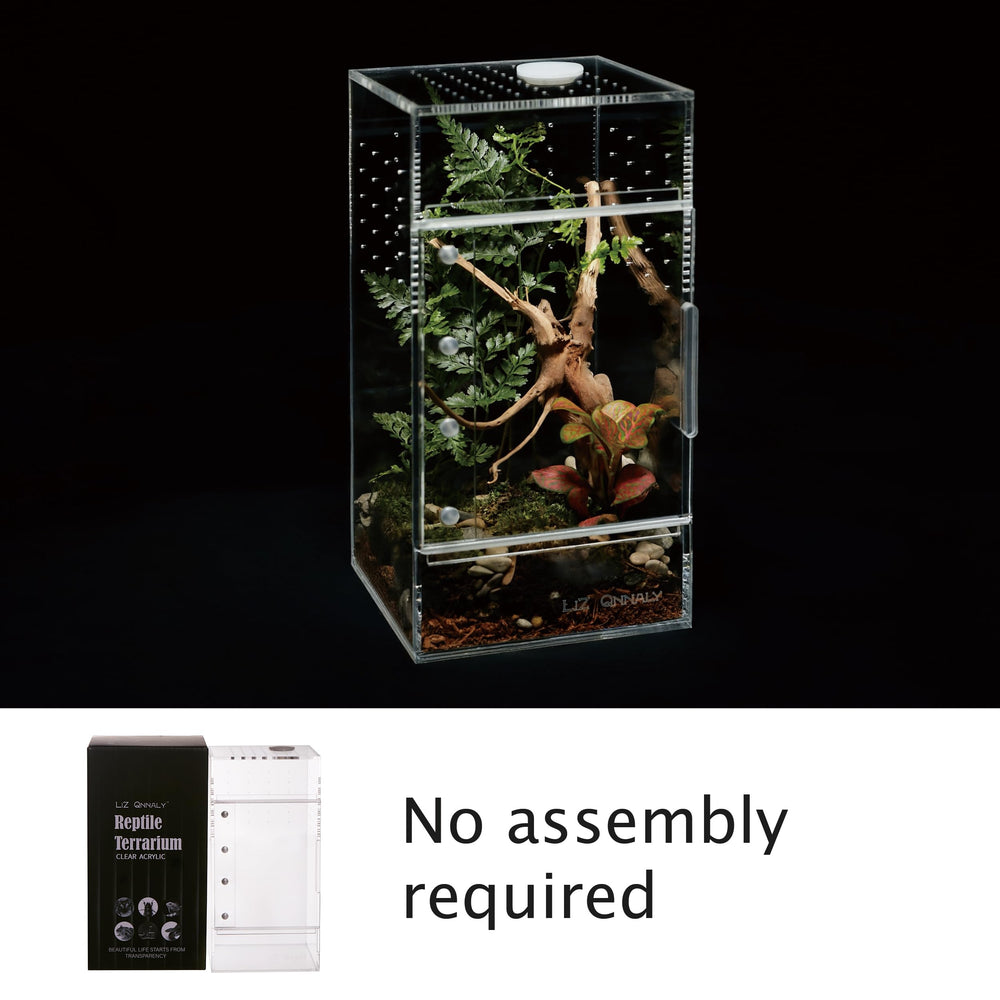 Liz Qnnaly terrarium ideal for jumping spiders and tiny critters.