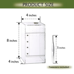 Liz Qnnaly terrarium with ventilation holes for proper airflow.