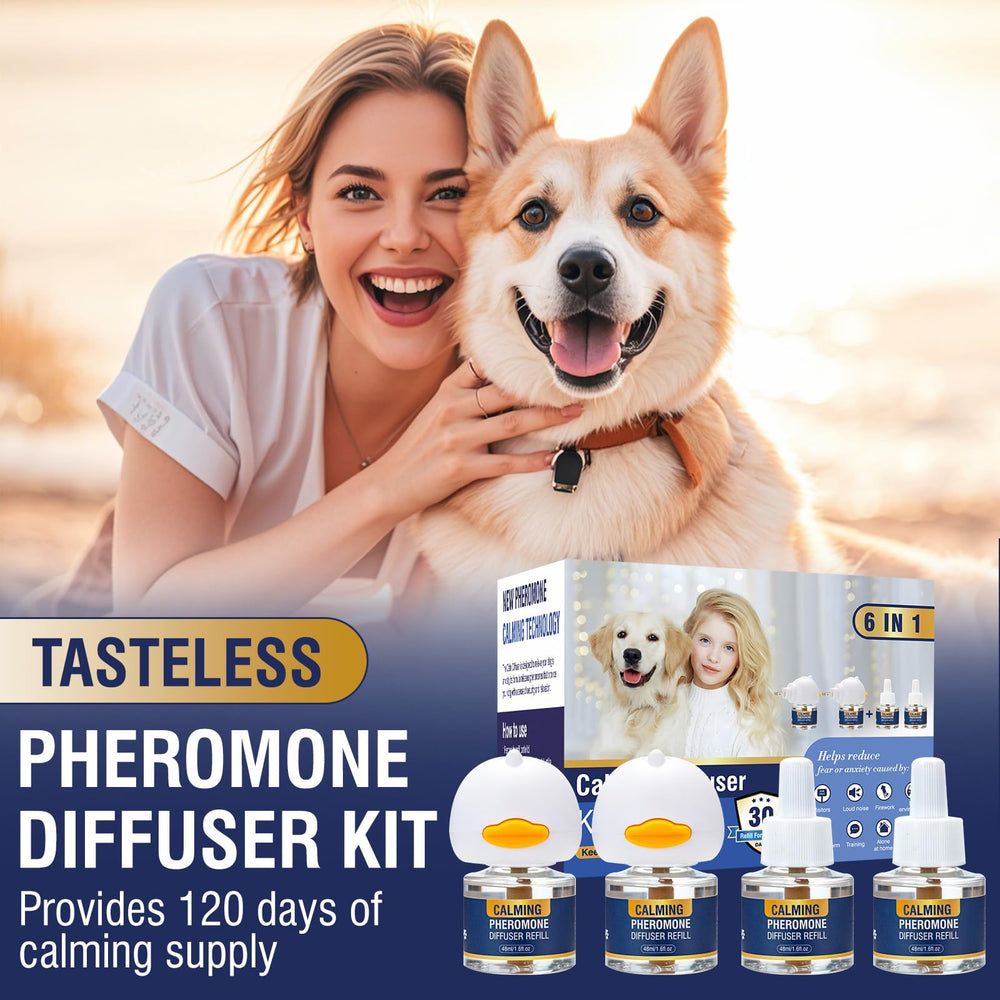 LKBHGF 6-in-1 kit setup supports varied anxiety relief for dogs.