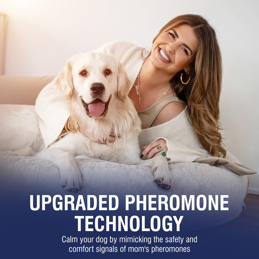 LKBHGF dog relaxing scene after use suggests stress reduction without harsh methods.