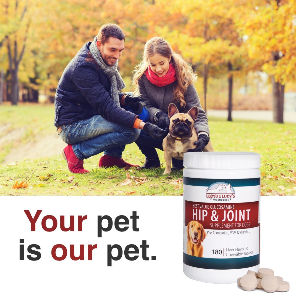 Dog happily chews Lloyd & Lucy's hip joint treats in liver flavor.