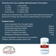 Close-up of Lloyd & Lucy's ingredients: glucosamine, chondroitin, MSM, vitamin C.