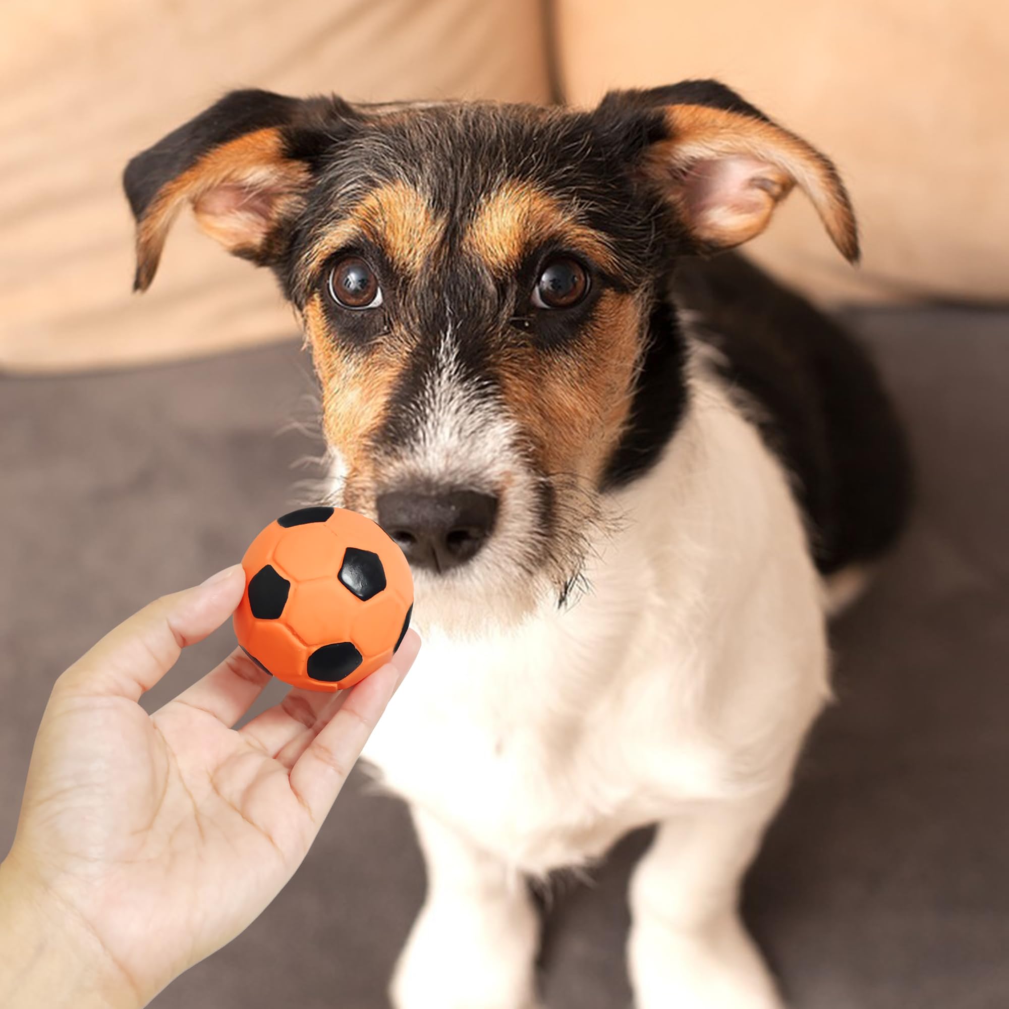 LLSPET 2'' latex squeaky ball in purple creates engaging fetch outdoors.