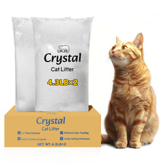 LMJP Crystal Cat Litter demonstrates rapid moisture absorption for a dry litter surface.