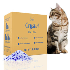 LMJP Crystal Cat Litter absorbs moisture quickly for a consistently dry litter box.