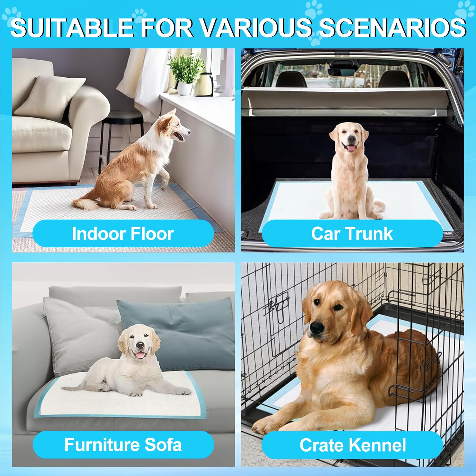 LNWJSRX 40-count pack offers long-term value for homes with multiple pets.