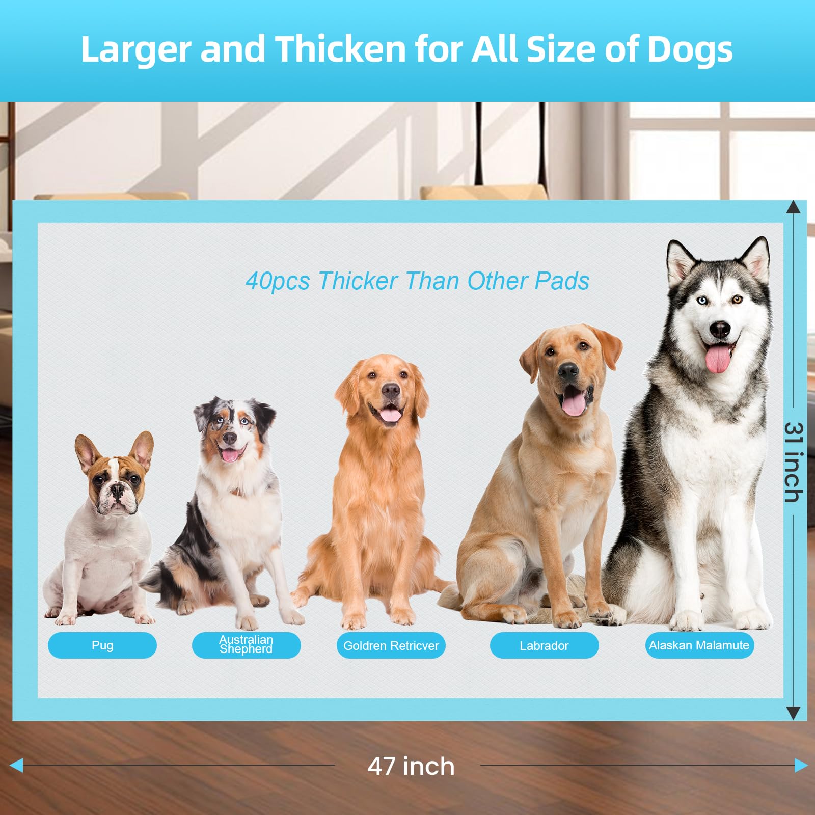 LNWJSRX 31x47 inch size suitable for large pets