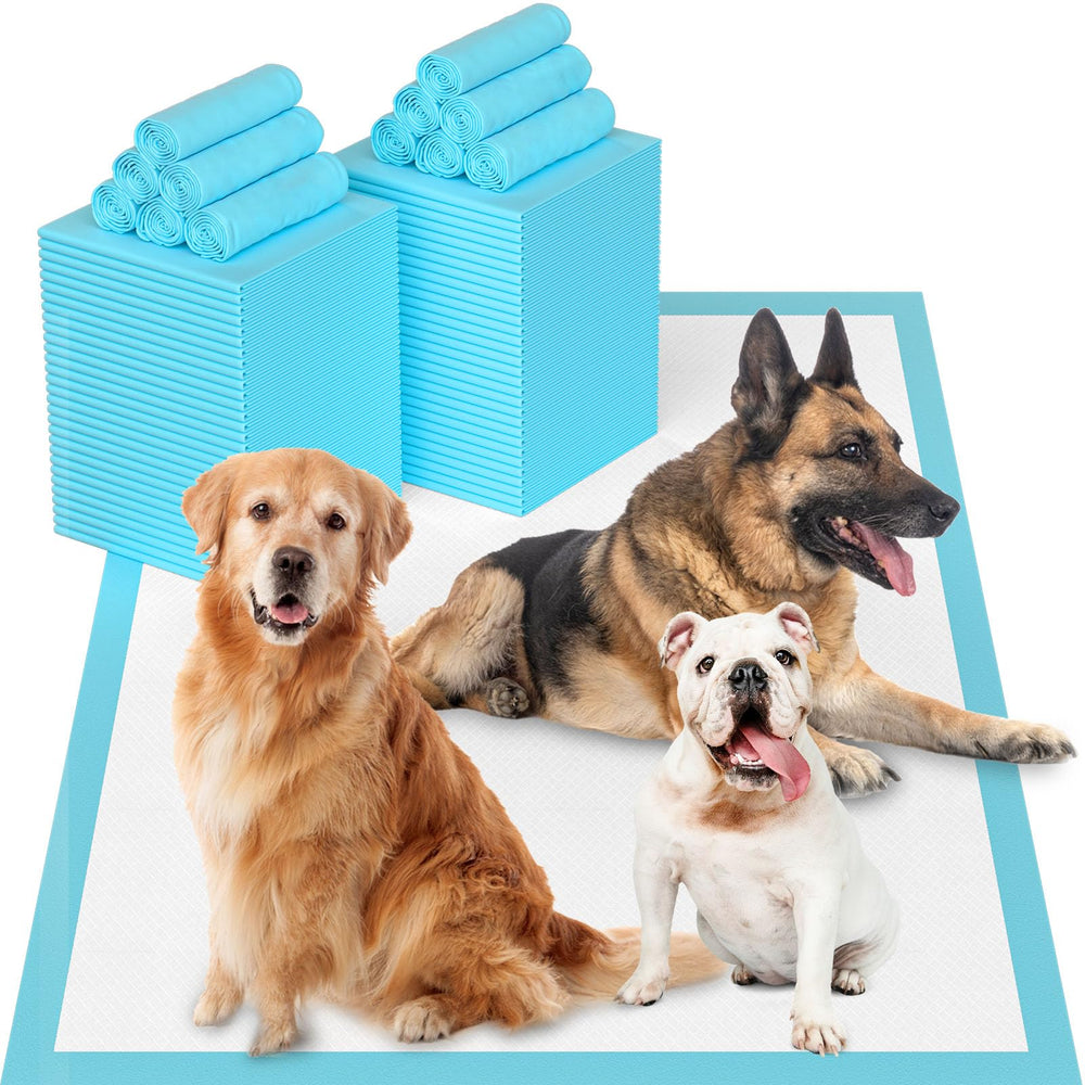 LNWJSRX XXL 31x47 inch pee pad for training and floor protection.