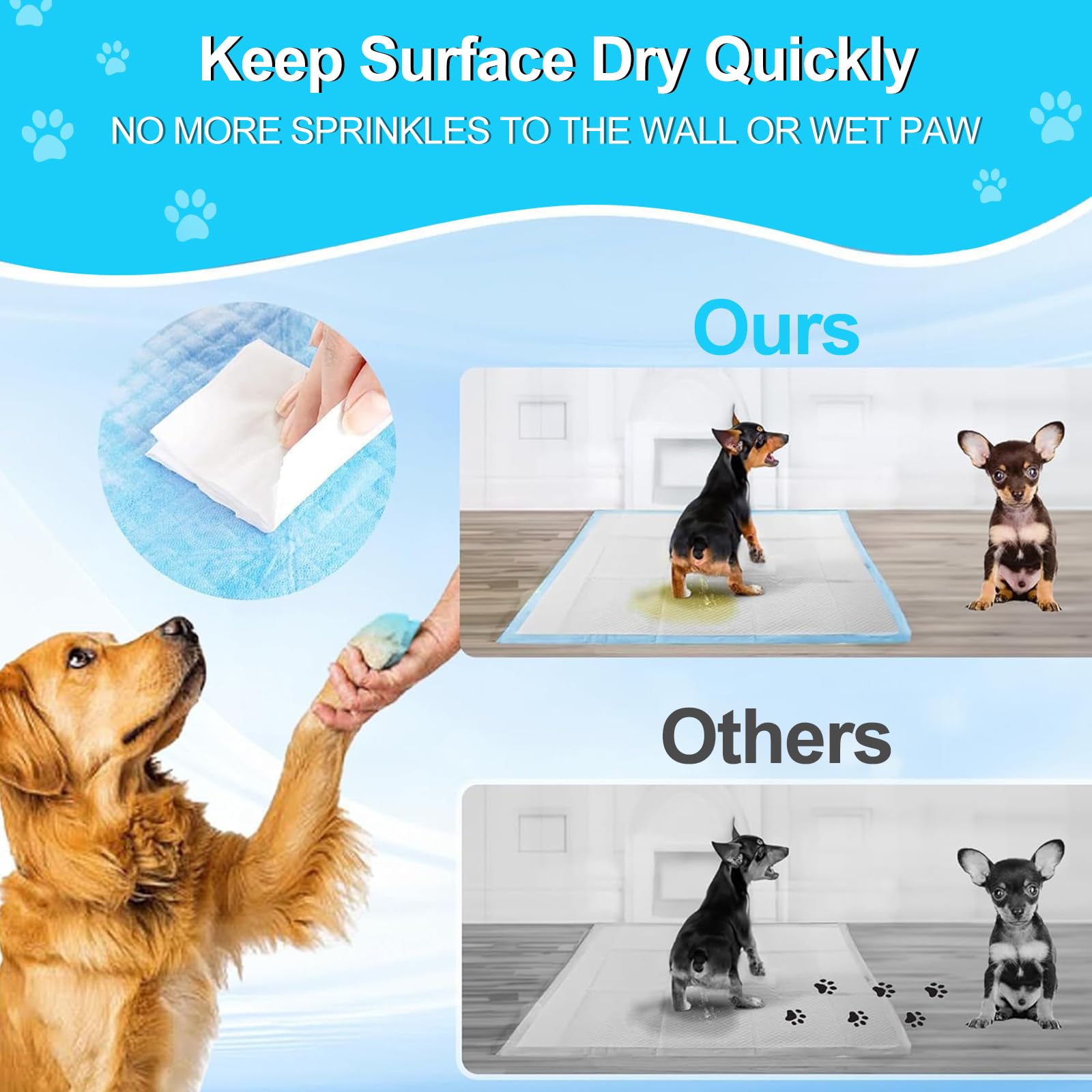 LNWJSRX versatile pads for crates, kennels, travel, and multi-pet households.